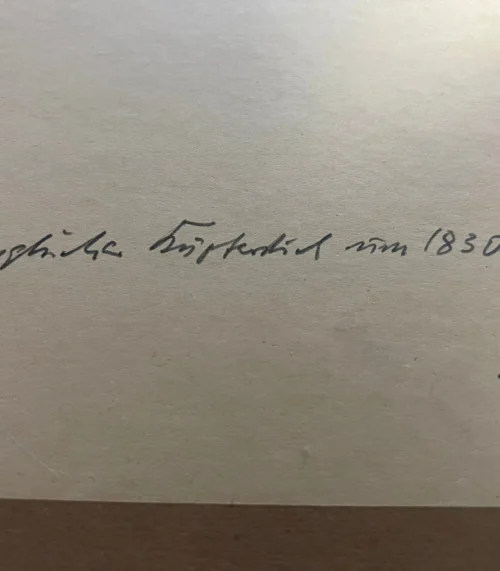 Original Lithographie von Sydenham Edwards - 1844