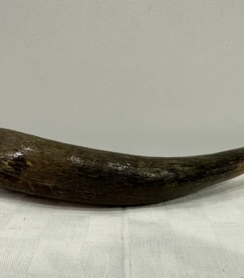 Flaschenöffner mit echter Rothirsch Geweih-Stange als Griff