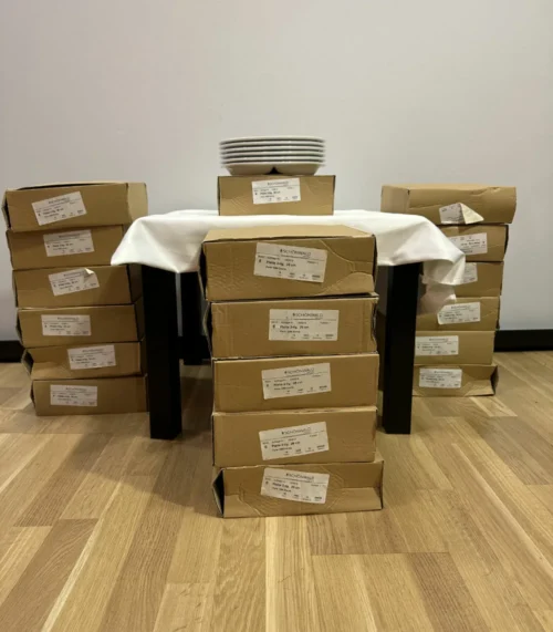 Schönwald Porzellan- 6 Teller im Set 1298 Donna