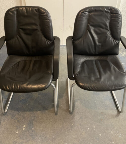 Erosuisse 2er Set Echtleder Armlehnen Stühle mit Chromstahl