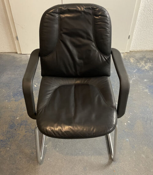 Erosuisse Echtleder Armlehnen Stuhl mit Chromstahl