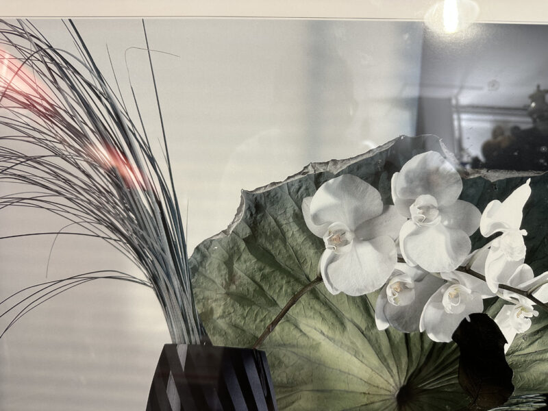 Signierter Kunstdruck von Evert van Kuik – florales Stillleben mit Orchideen und Blättern im Goldrahmen, 95 x 65cm - Image 4