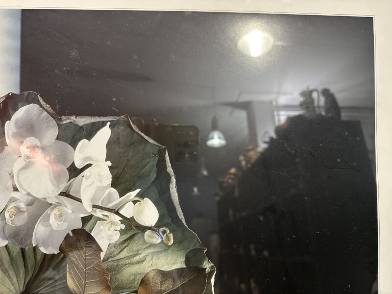 Signierter Kunstdruck von Evert van Kuik – florales Stillleben mit Orchideen und Blättern im Goldrahmen, 95 x 65cm - Image 5