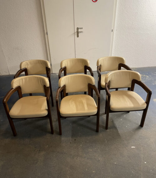 6er-Set Mid-Century Armlehnstühle von „Stühle aus Stein am Rhein“ – Eichenholz mit cremefarbenem Lederbezug