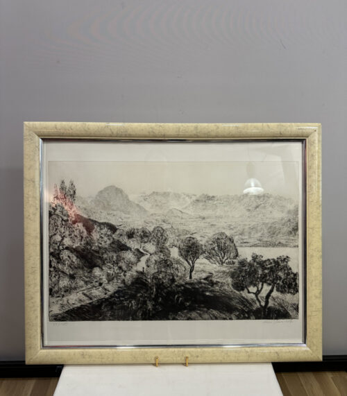 Hans Sturn Radierung 1987, Schweizer Landschaftsdarstellung im Rahmen 79 x 64 cm
