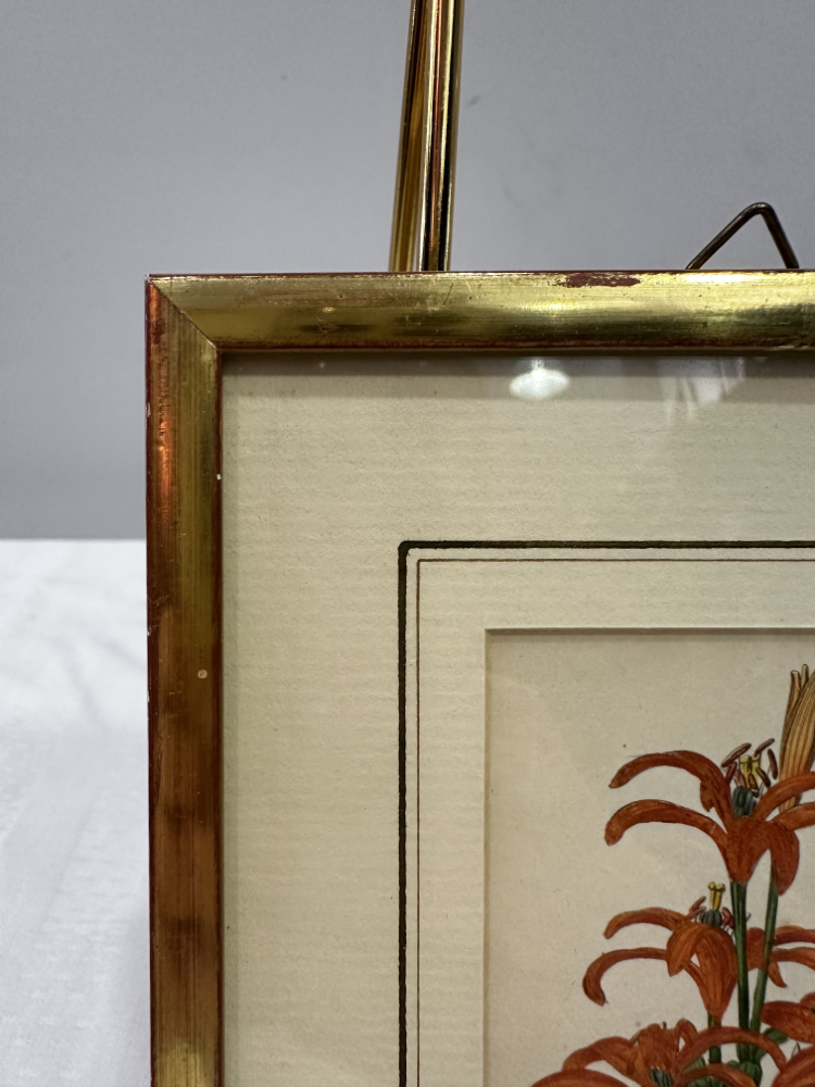 Antiker Stahlstich „Lilium concolor“ von B. Maund, London (1825) – Bild 4