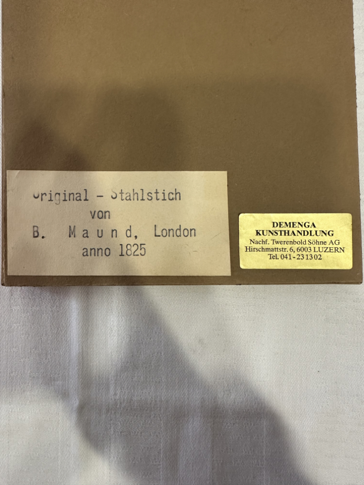 Antiker Stahlstich „Lilium concolor“ von B. Maund, London (1825) – Bild 9