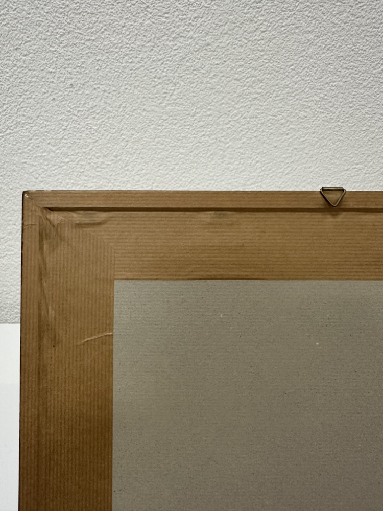 Antiker kolorierter Stich Bern mit der Eisenbahnbrücke im Goldrahmen, 19. Jahrhundert – Bild 11