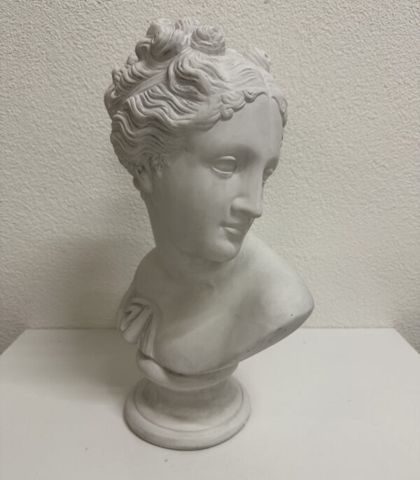 Klassische Venus Damenbüste im Antik Stil in Weiss auf Sockel