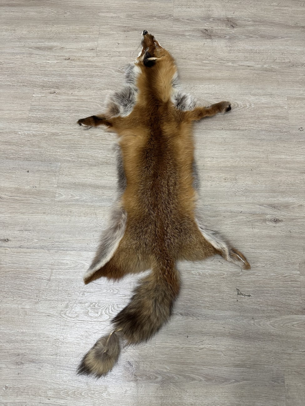 Dekoratives Secondhand-Stück aus dem Brocki