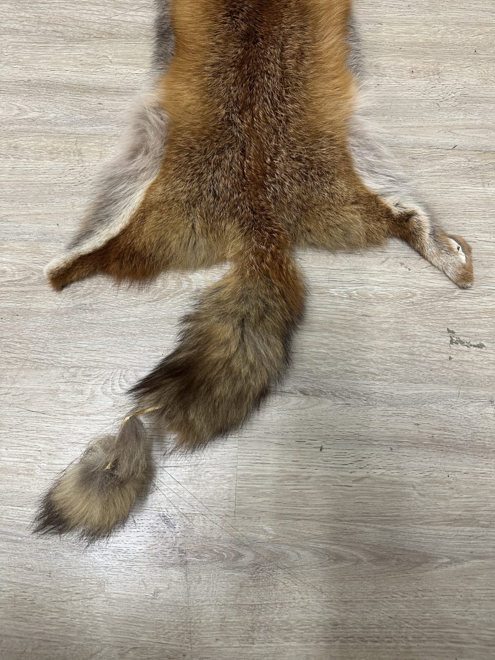 Dekoratives Secondhand-Stück aus dem Brocki