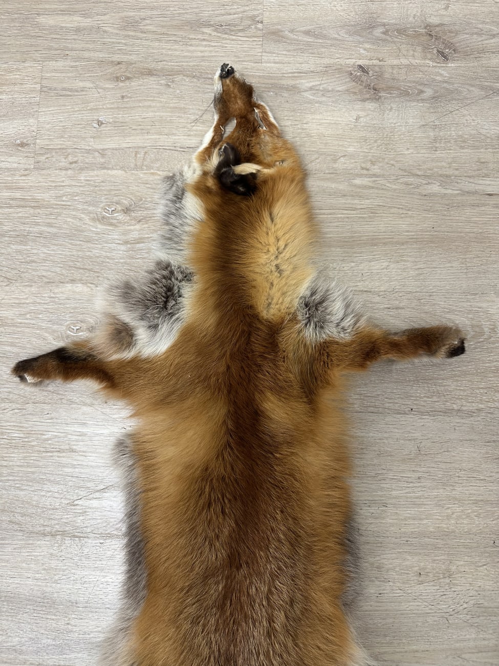 Dekoratives Secondhand-Stück aus dem Brocki