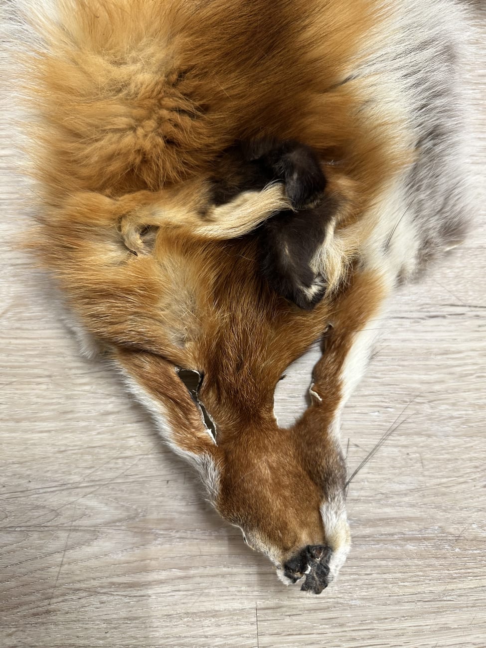 Dekoratives Secondhand-Stück aus dem Brocki