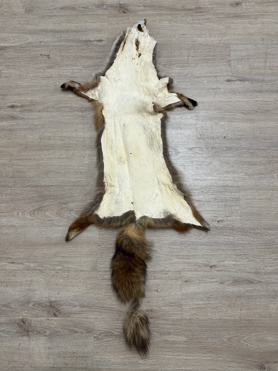 Dekoratives Secondhand-Stück aus dem Brocki