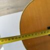 Vintage Akustikgitarre Rossmeist mit Trageband