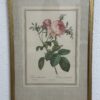 Vintage Bilderrahmen mit Rosen Druckbild P. J. Redouté
