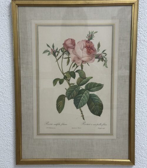 Vintage Bilderrahmen mit Rosen Druckbild P. J. Redouté