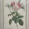 Vintage Bilderrahmen mit Rosen Druckbild P. J. Redouté