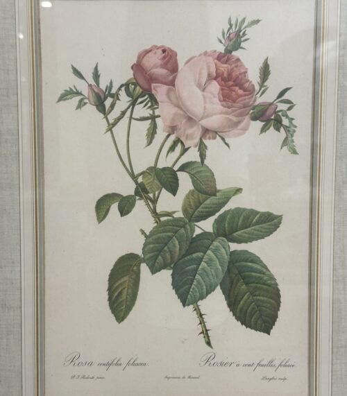 Vintage Bilderrahmen mit Rosen Druckbild P. J. Redouté