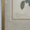 Vintage Bilderrahmen mit Rosen Druckbild P. J. Redouté