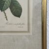 Vintage Bilderrahmen mit Rosen Druckbild P. J. Redouté