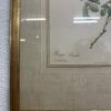 Vintage Rosenbild P. J. Redouté im goldfarbenen Rahmen