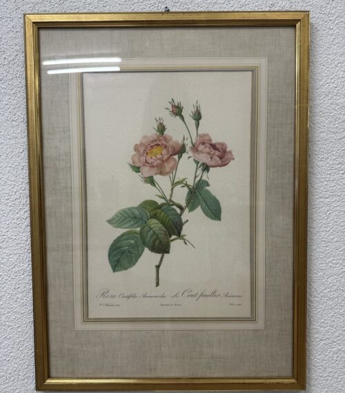 Vintage Blumenbild mit Rosenmotiv im Goldrahmen