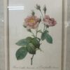 Vintage Blumenbild mit Rosenmotiv im Goldrahmen