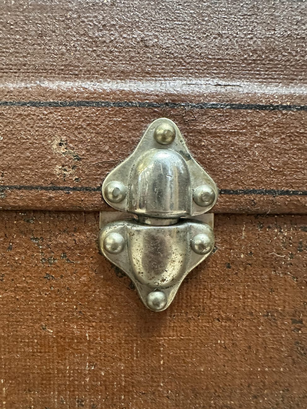 Vintage Koffertruhe mit gewölbtem Deckel und Blumenfutter