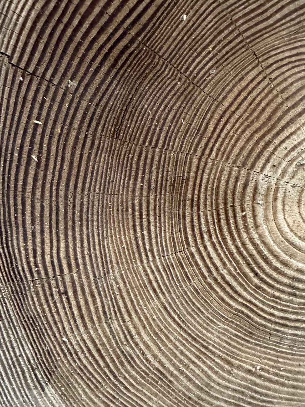 Rustikale Holzbank mit Rückenlehne 125 cm